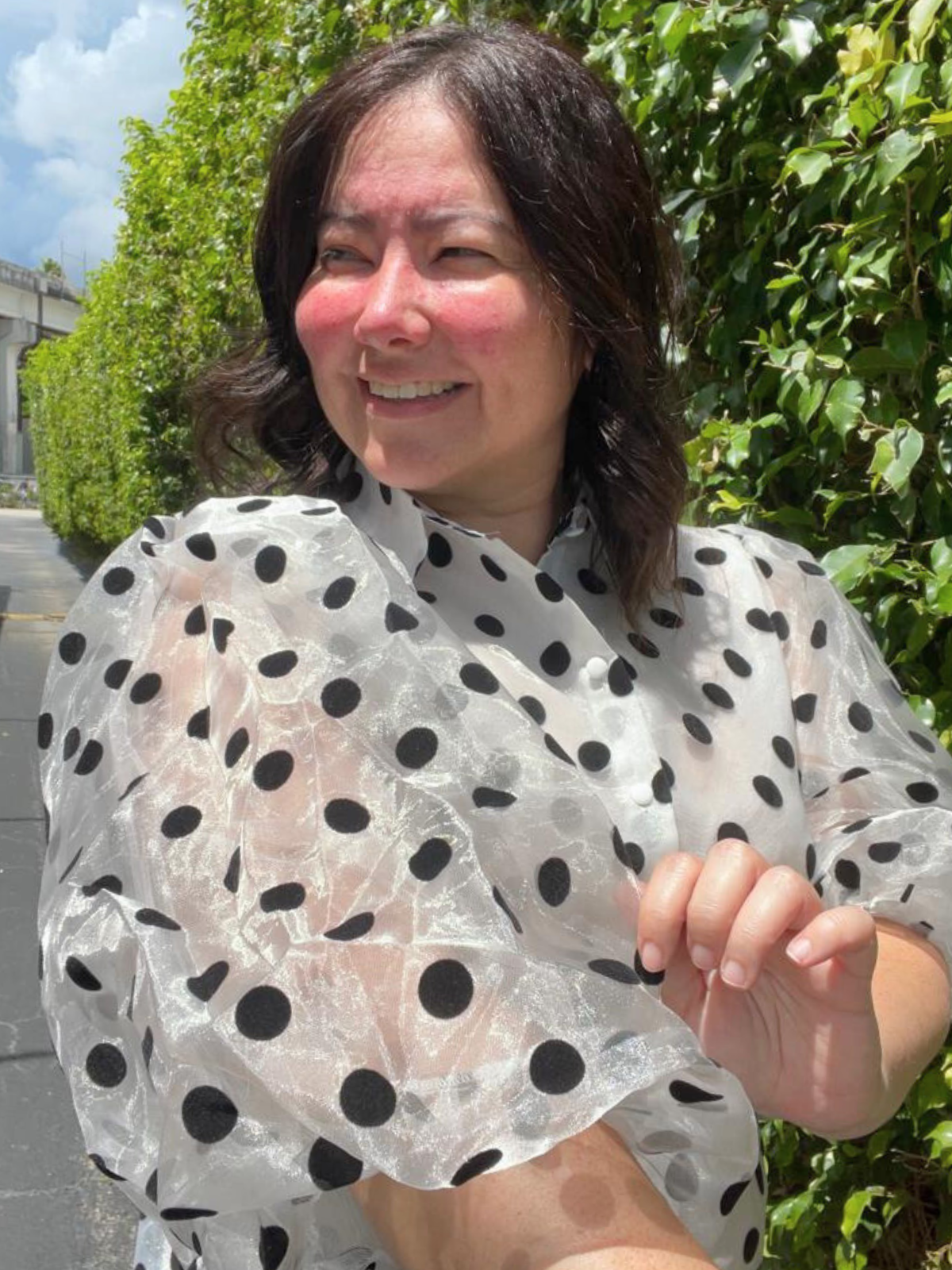 Timeless Elegance Polkadot Sheer Blouse