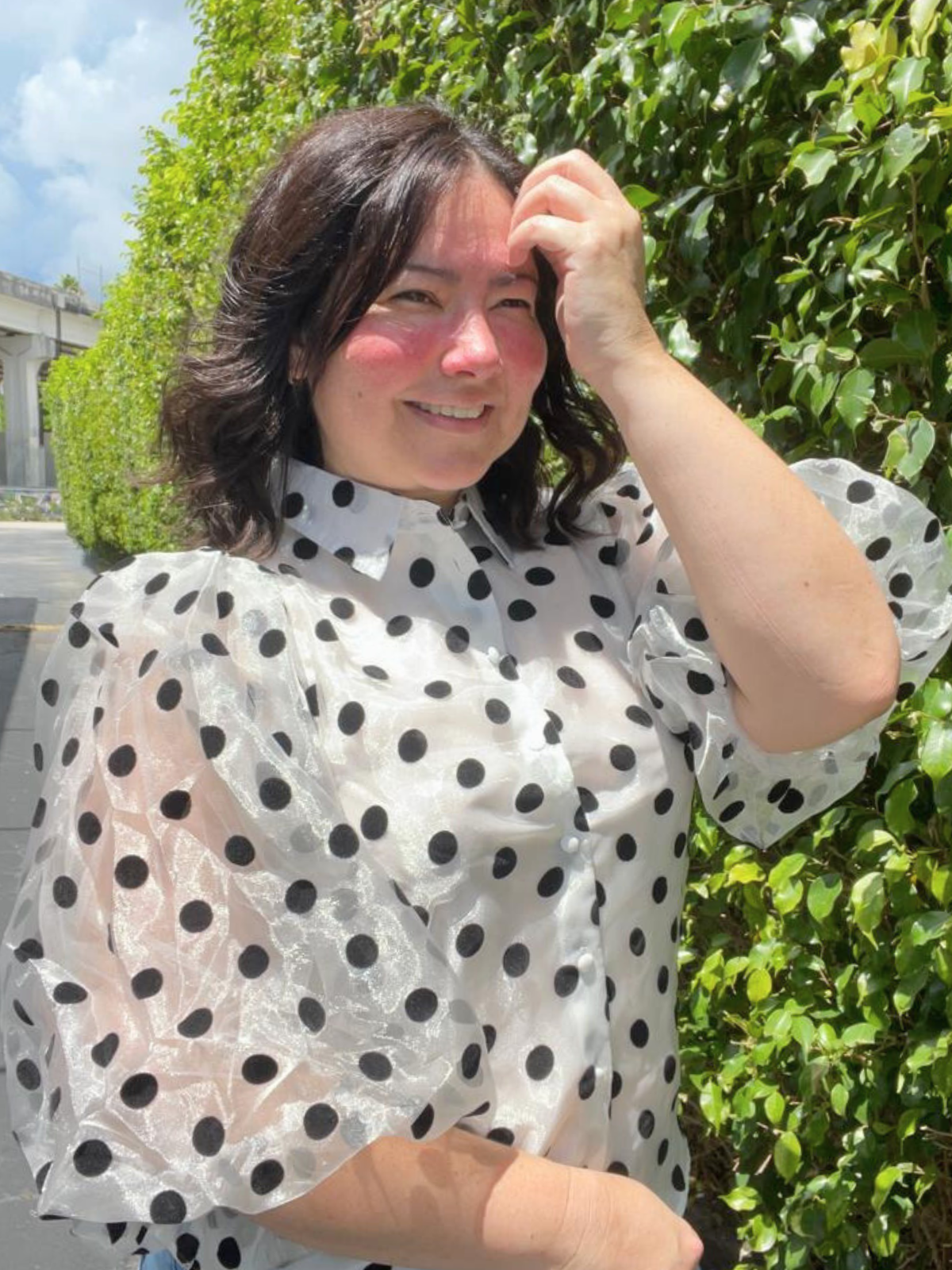 Timeless Elegance Polkadot Sheer Blouse