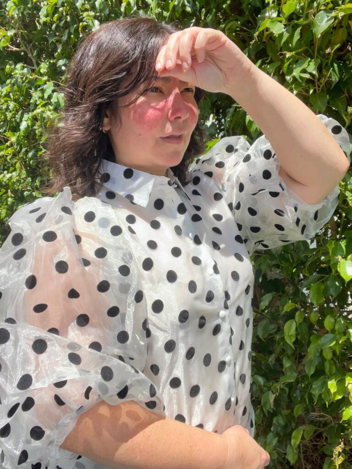 Timeless Elegance Polkadot Sheer Blouse