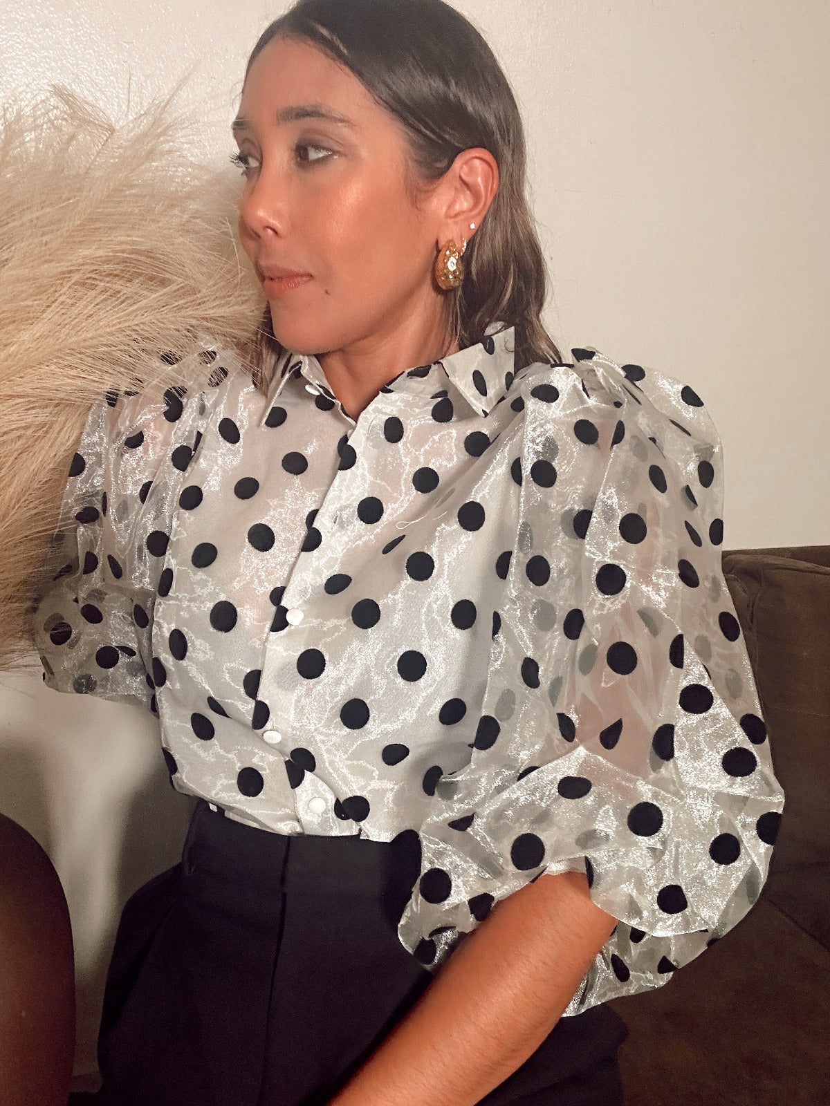 Timeless Elegance Polkadot Sheer Blouse