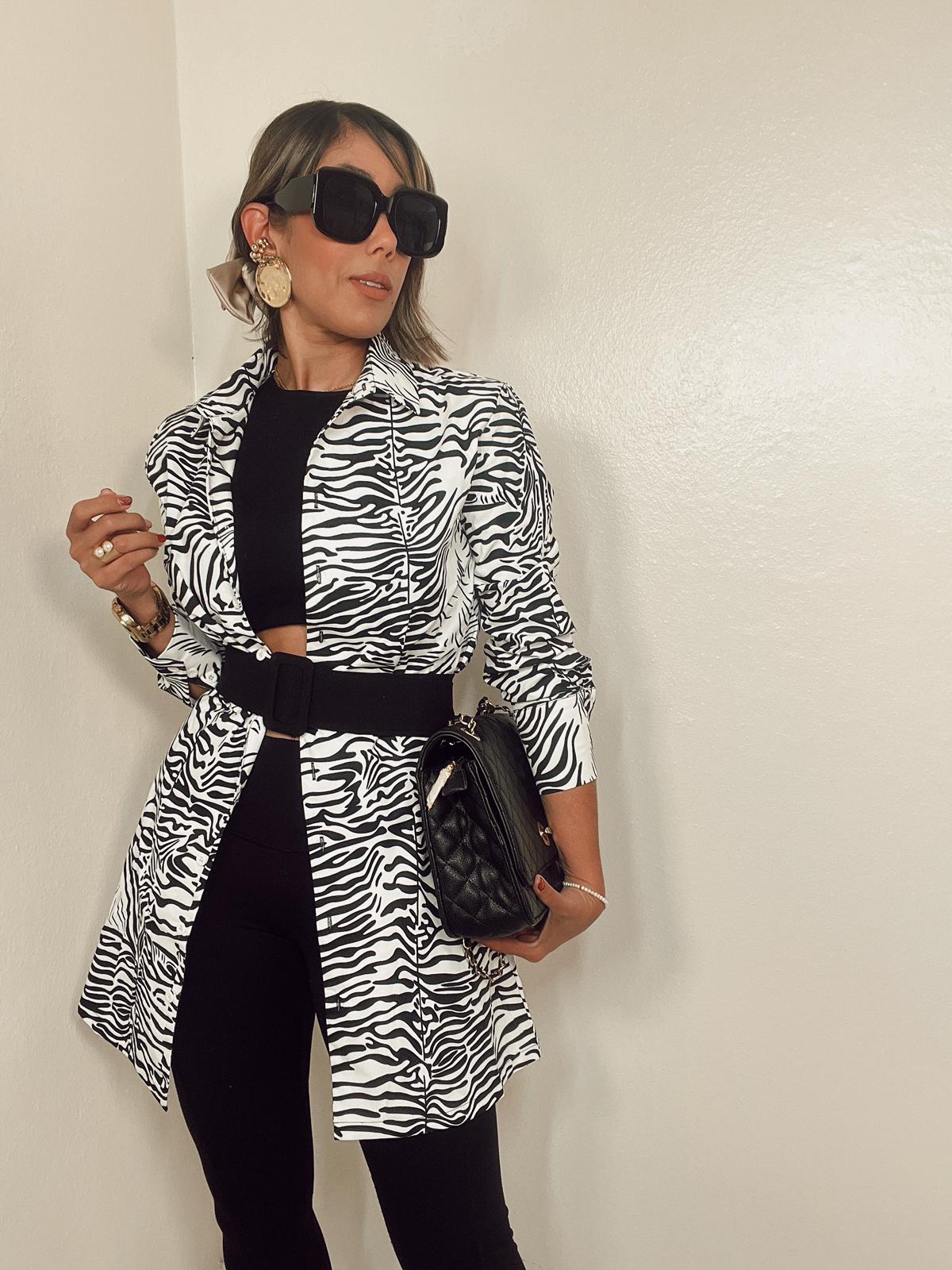 Zebra Mini Dress