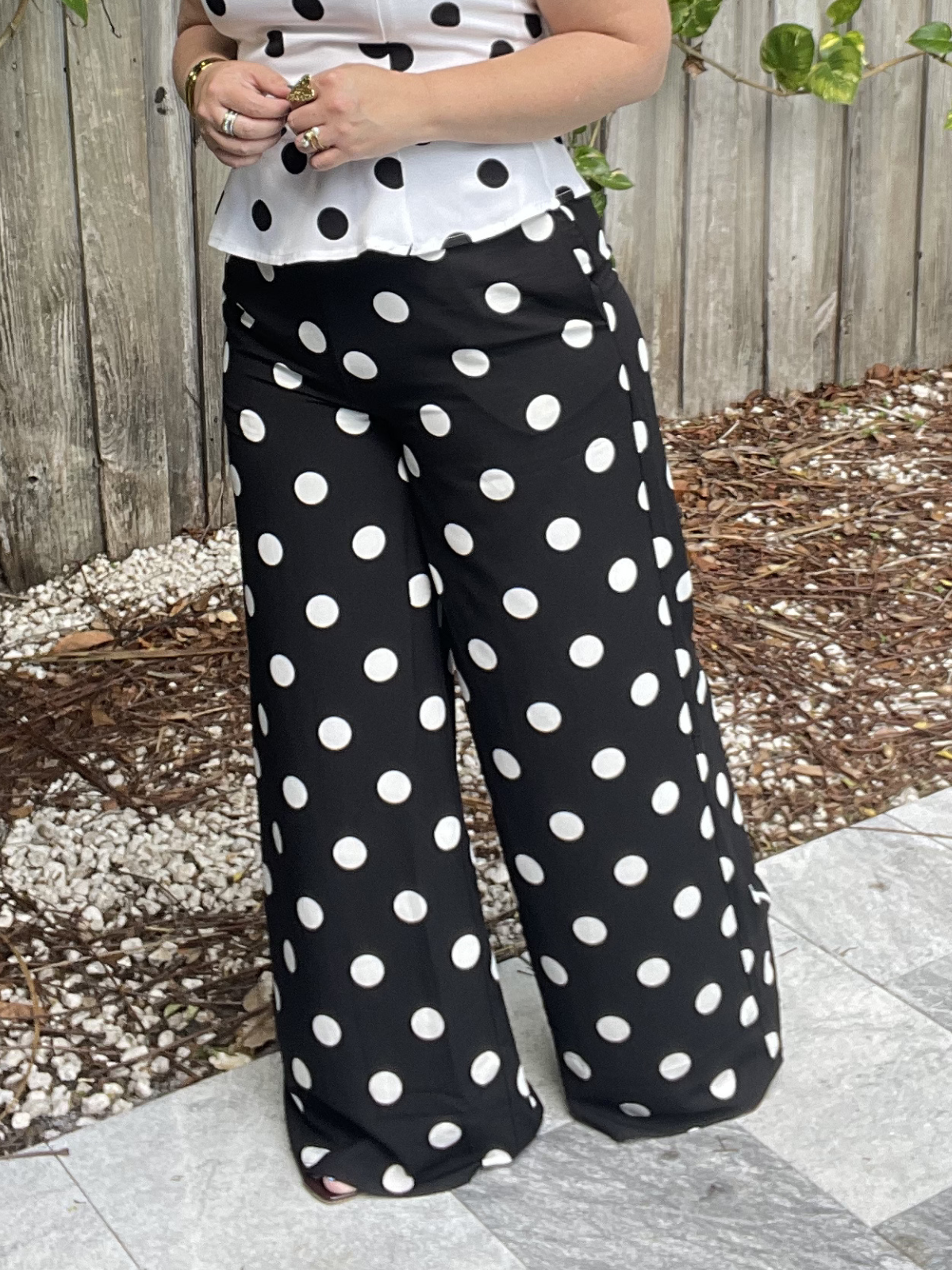 Sara Polka Dot Wide Leg Pants