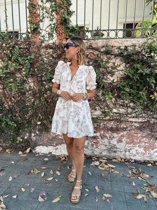 Noemi Pink Toile Printed Button Up Dress